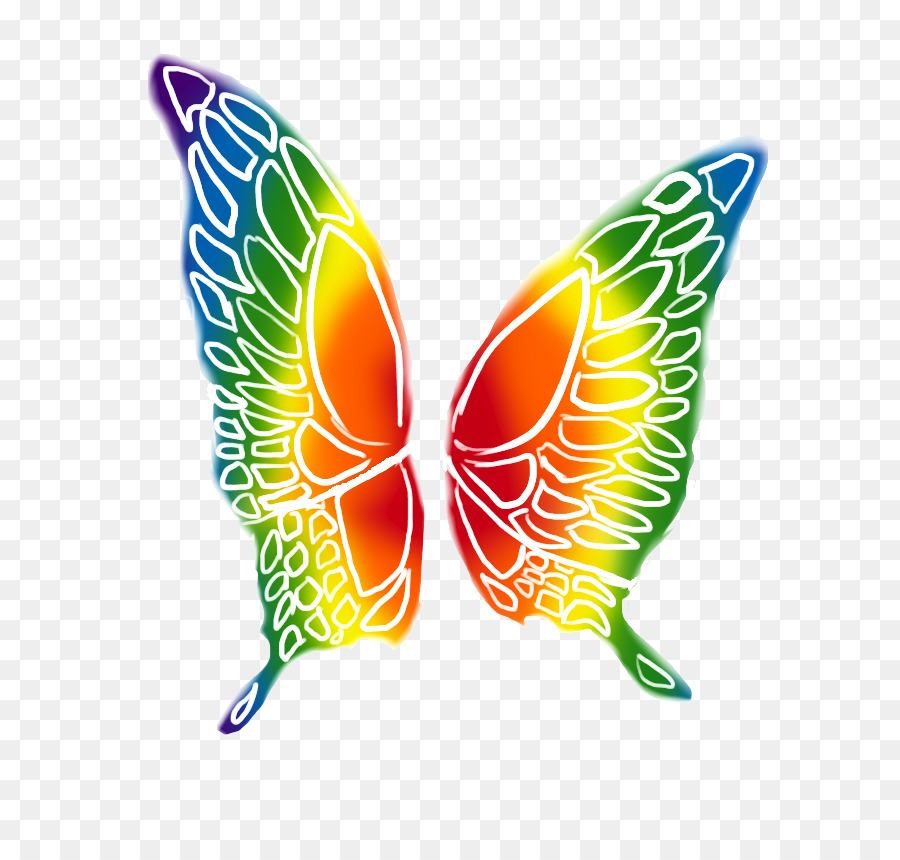 Ailes De Papillon，Coloré PNG