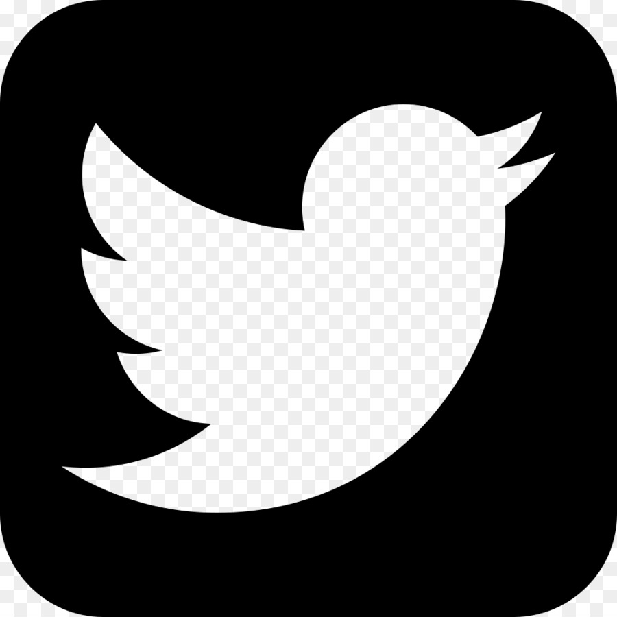 Logo Twitter，Oiseau PNG