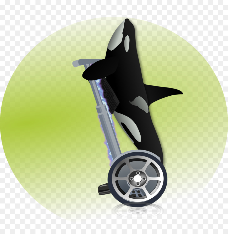 Orca Jeux，Roue PNG