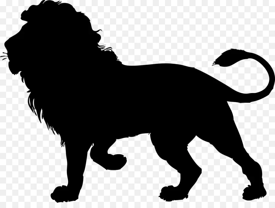 Lion，Silhouette PNG