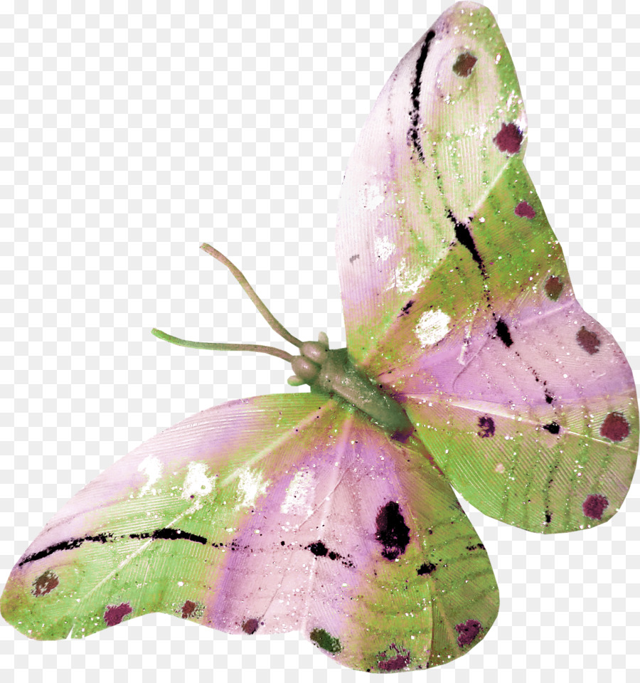 Papillon Rose，Insecte PNG