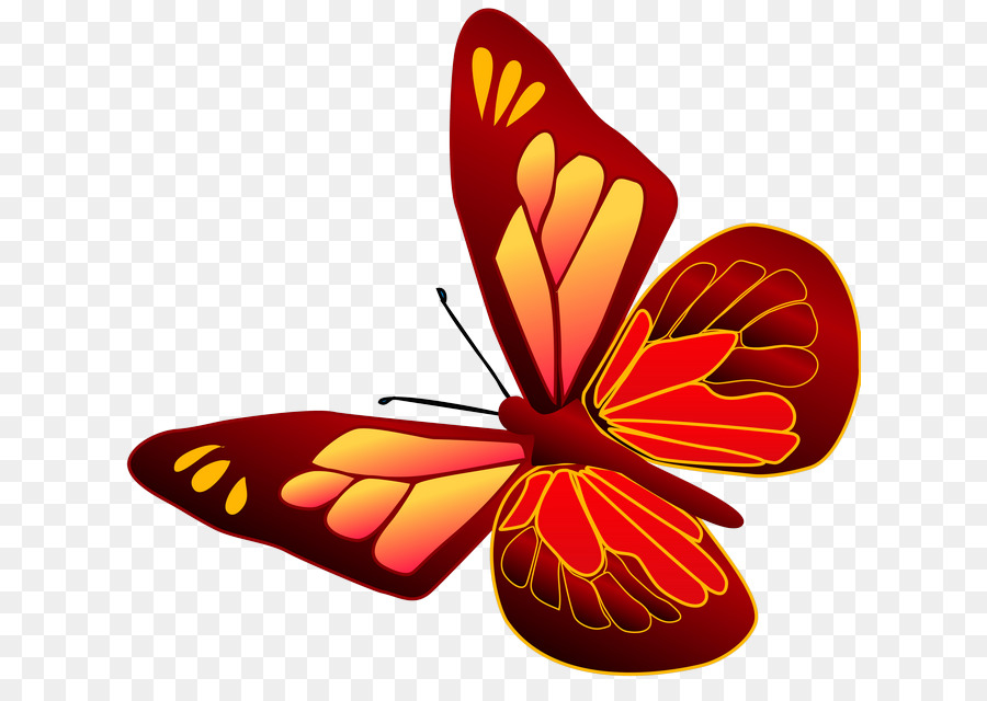 Papillon，Rouge PNG