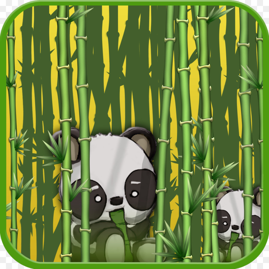 Pandas Mignons，Bambou PNG