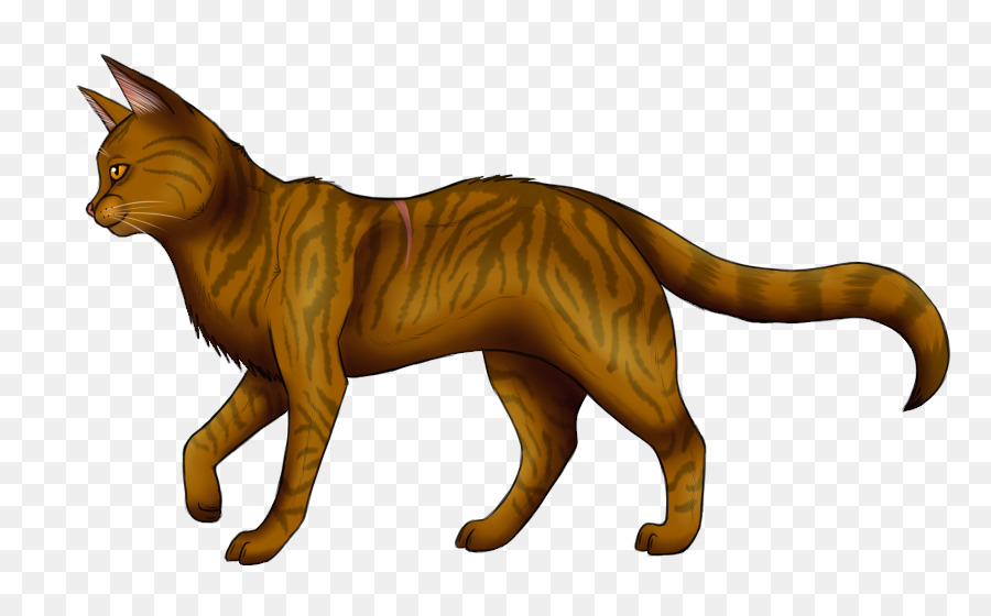 Chat，Animal De Compagnie PNG