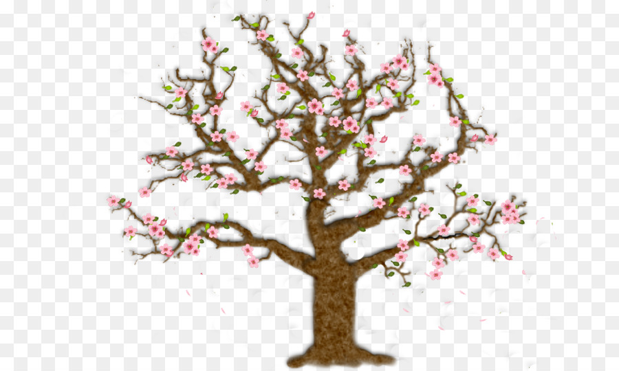 Arbre à Fleurs De Cerisier，Fleurs PNG