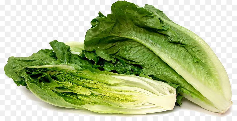 Blt，Laitue Romaine PNG