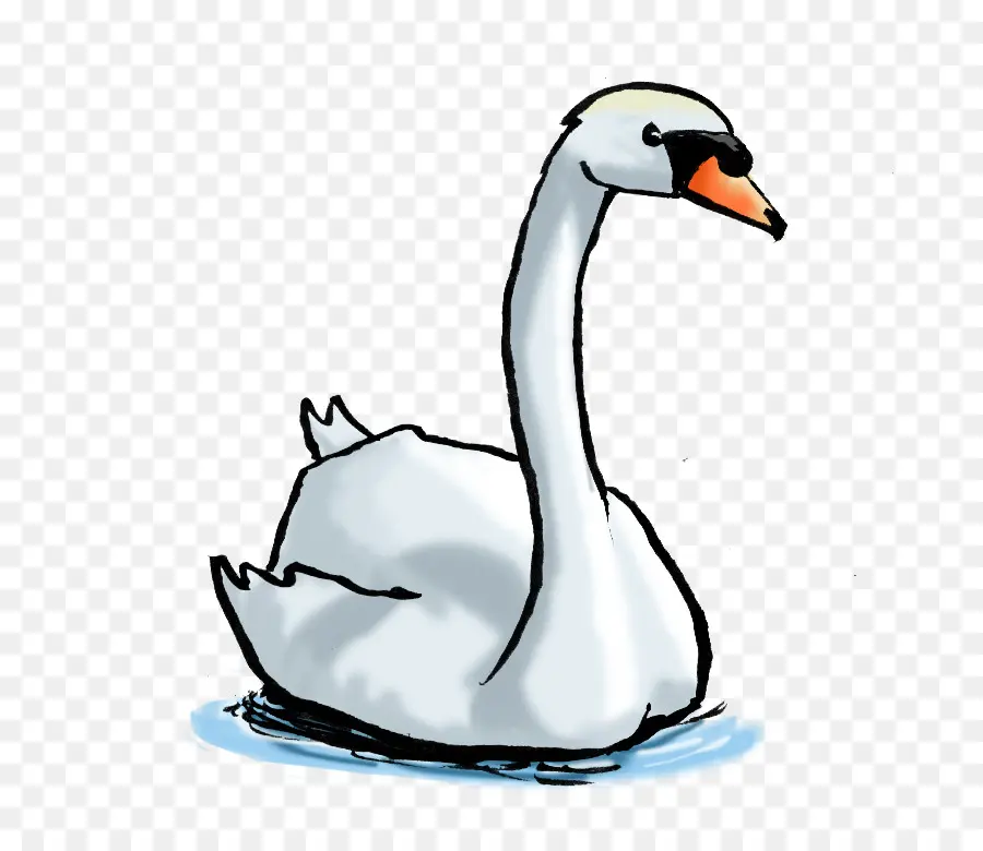 Cygne Blanc，Eau PNG