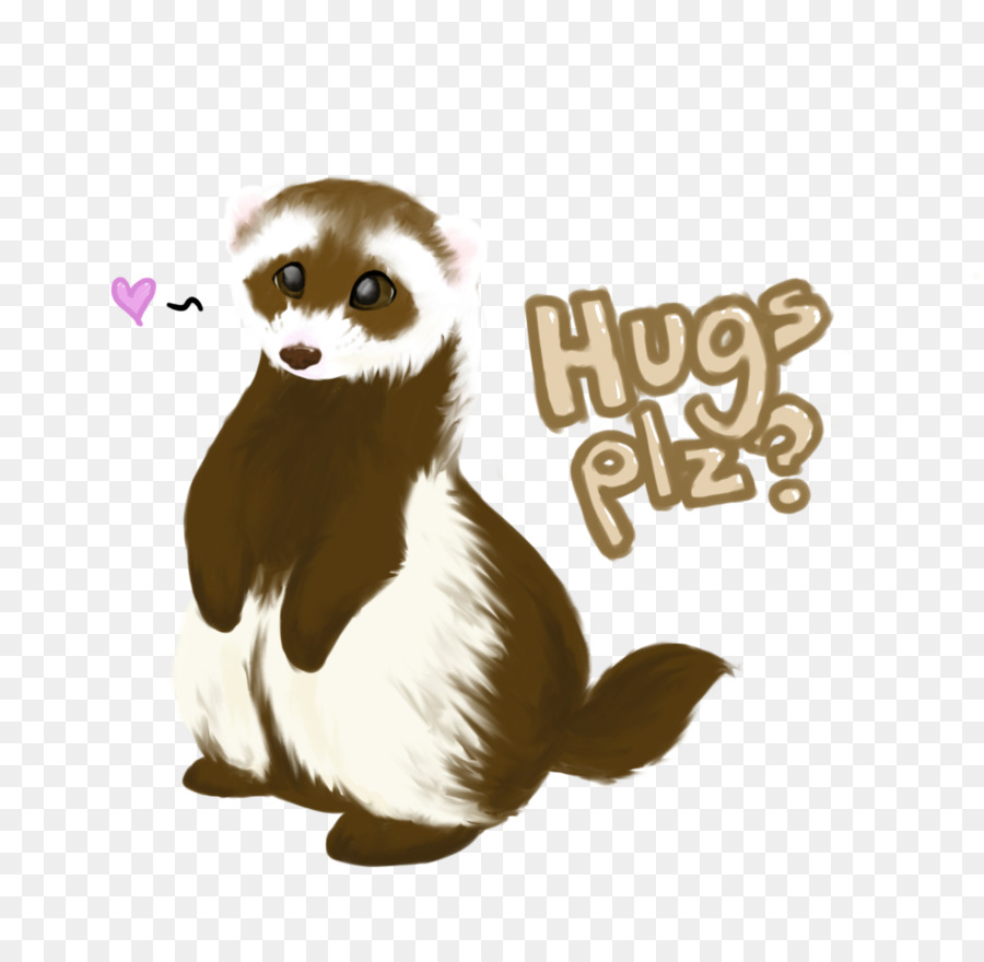 Furet，Animal PNG