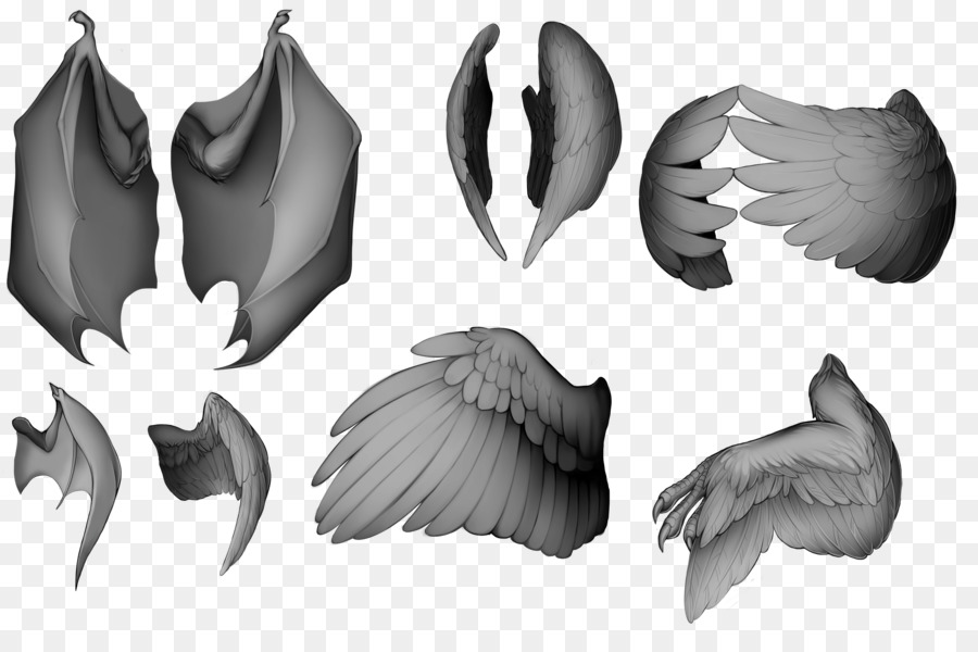 Ailes，Plumes PNG