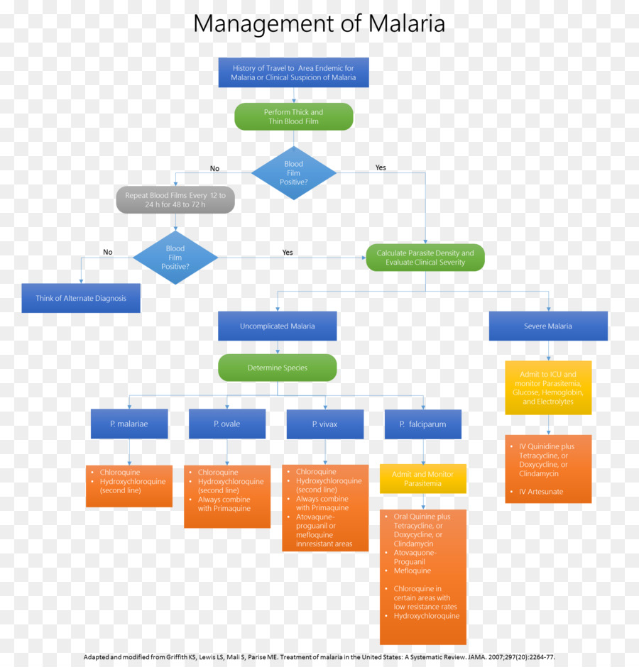 L Artésunate，Lésion Malpighienne Intra épithéliale PNG