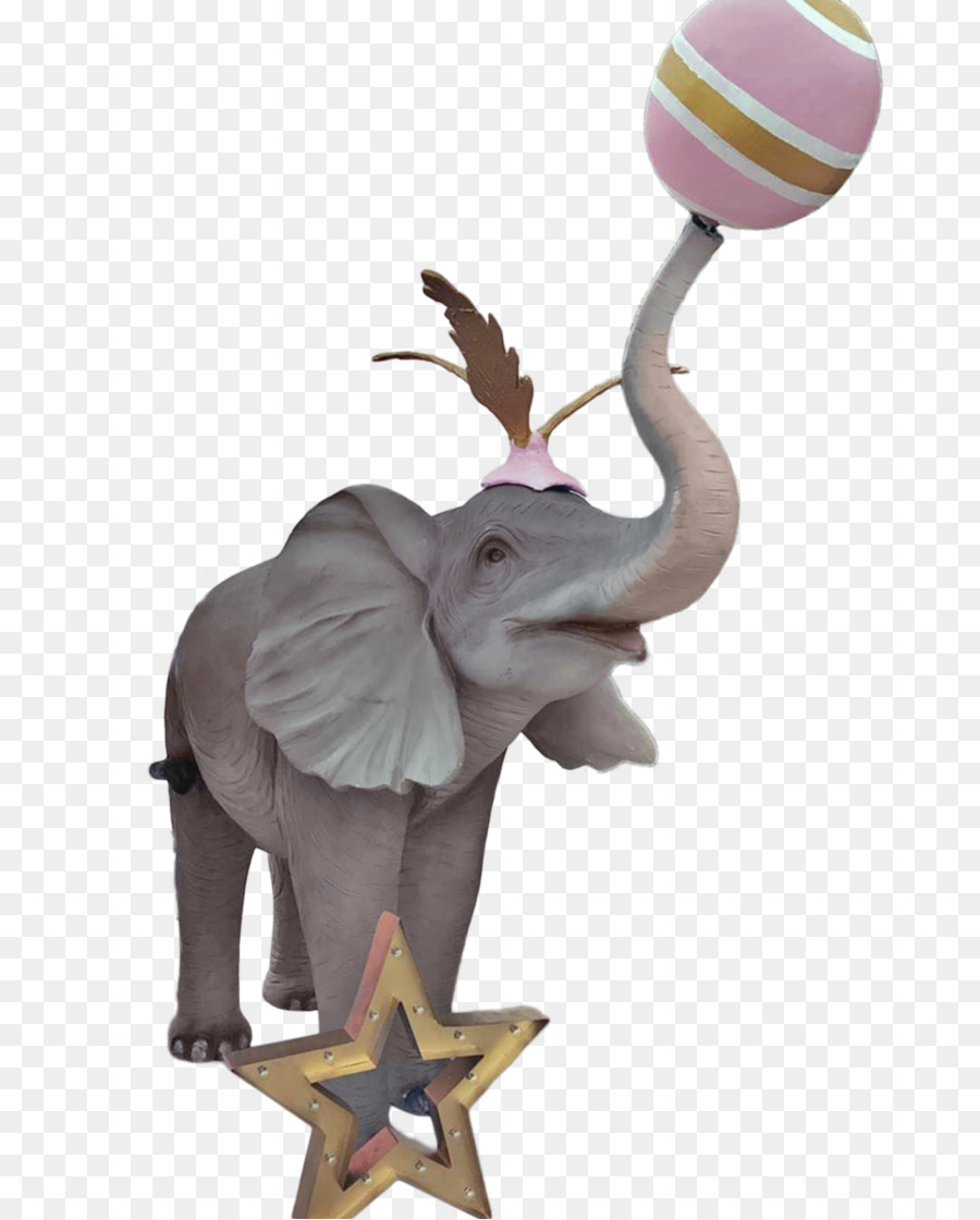 éléphant Africain，Cirque PNG