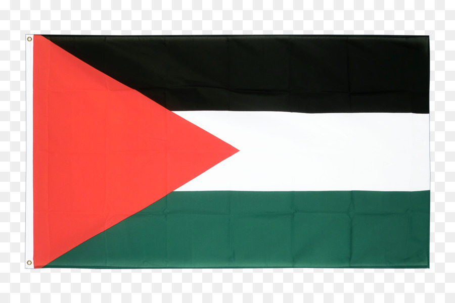État De Palestine，Drapeau De La Palestine PNG