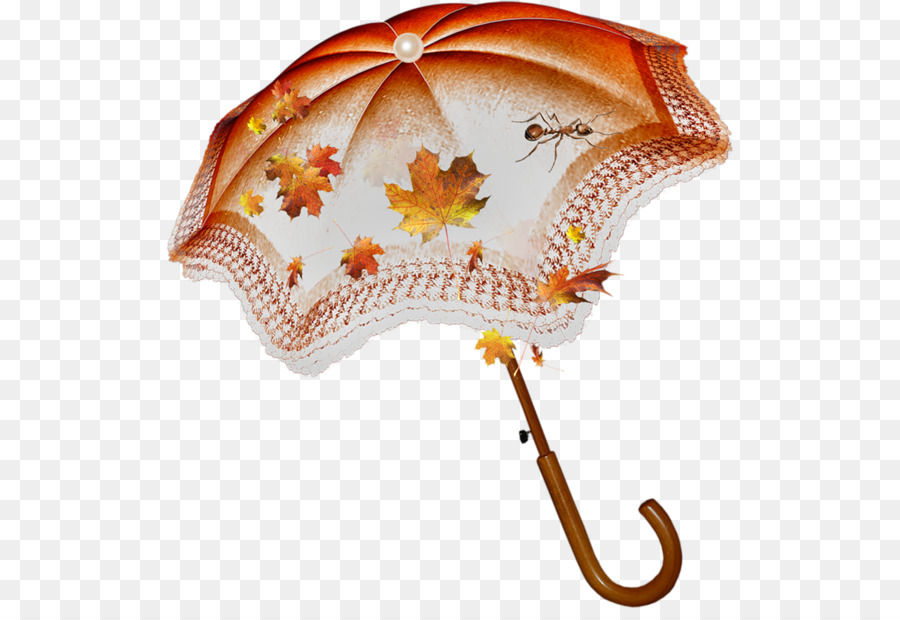Parapluie，L Automne PNG