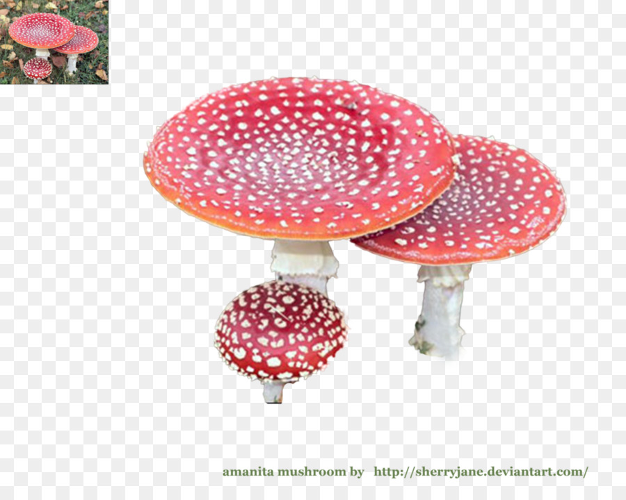 L Art，Champignons PNG