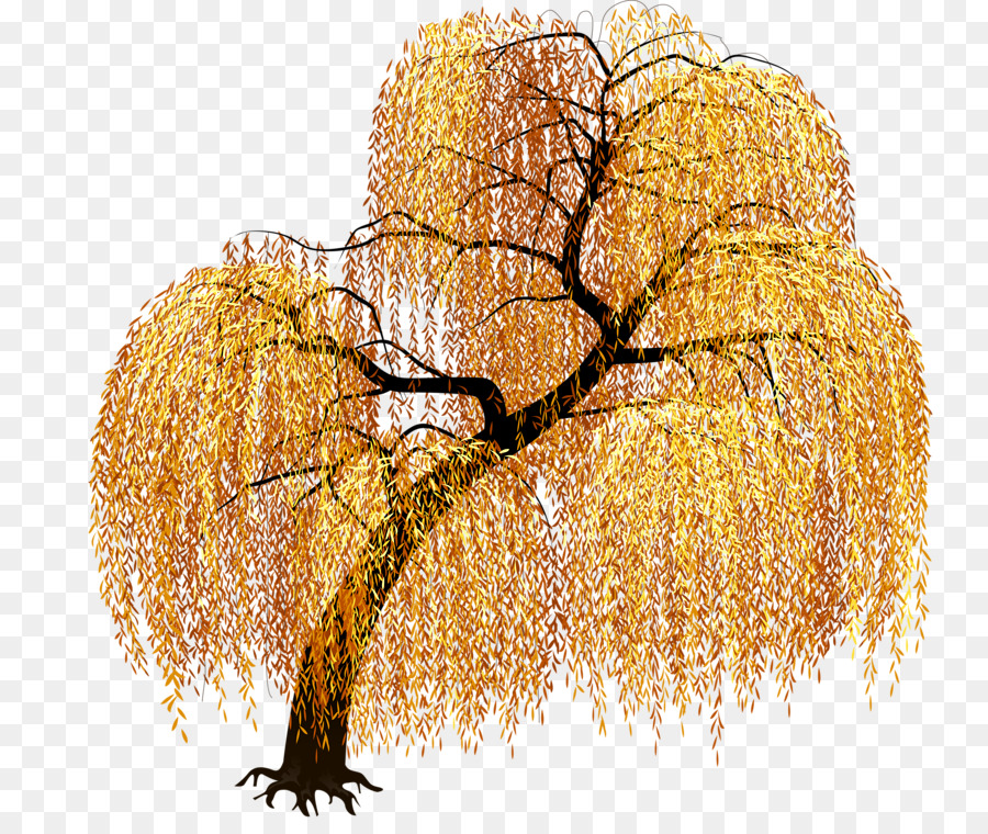 Arbre D'automne，Feuilles PNG