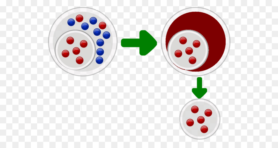 La Population De Goulot D étranglement，Mutation PNG