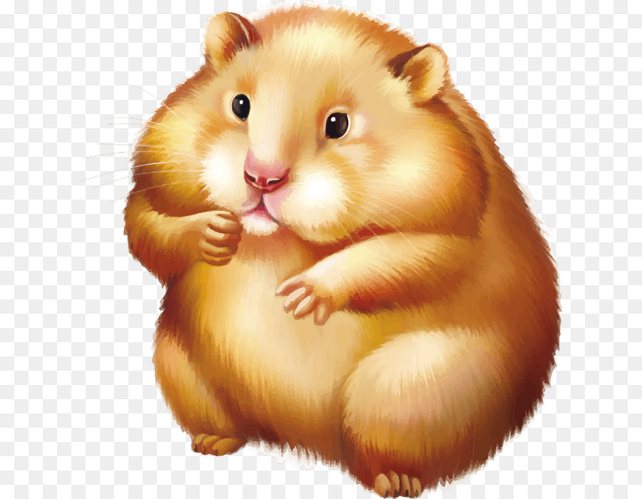 Hamster Mignon，Rongeur PNG