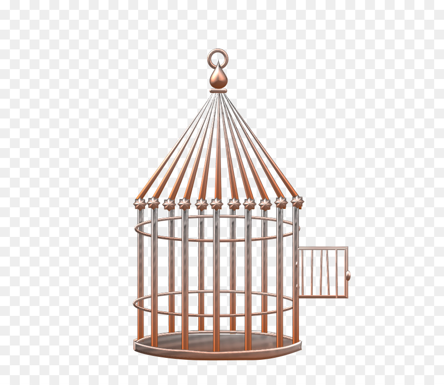 Oiseau，Cage PNG