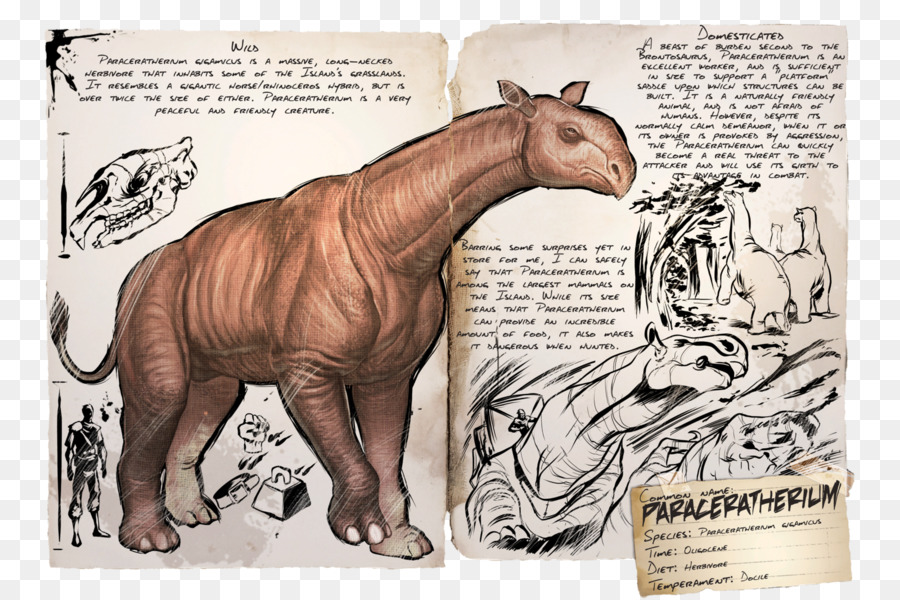 Illustration Du Paracératère，Paraceratherium PNG