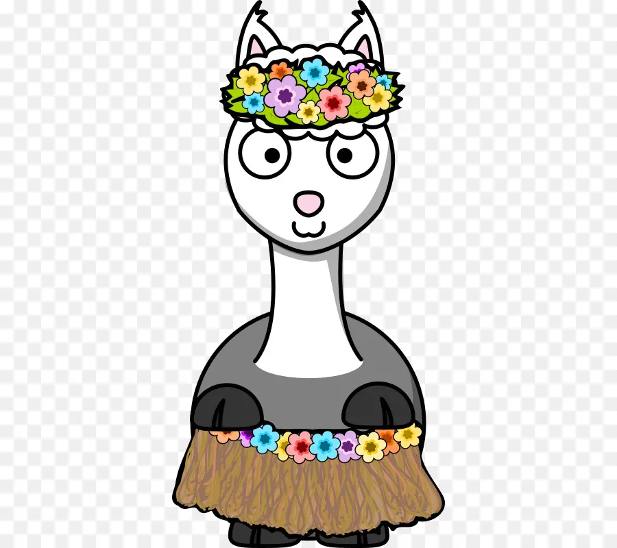 Lama，Jupe Hula PNG