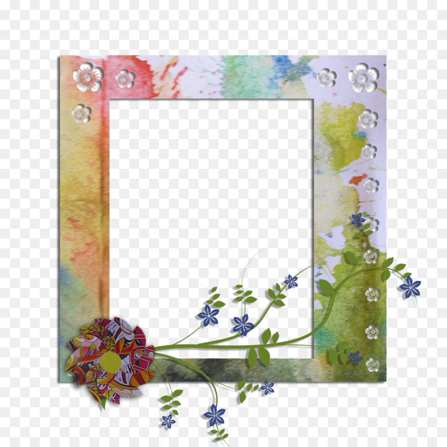 Design Floral，Cadres Photo PNG