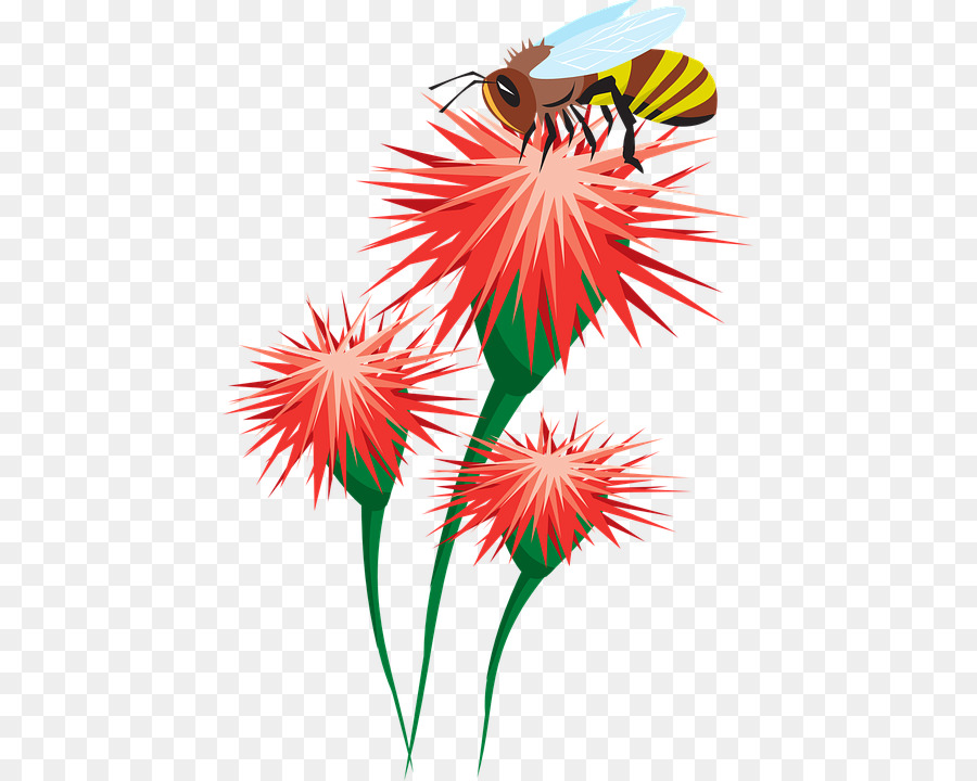 Abeille，Fleur PNG