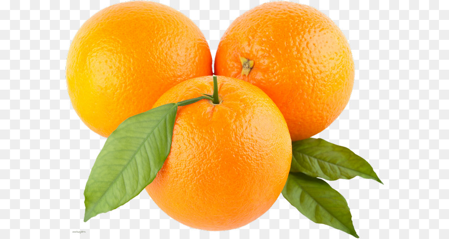 Oranges，Agrumes PNG