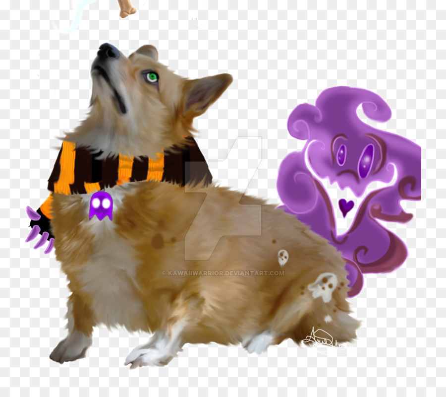 Poméranien，Pembroke Welsh Corgi PNG