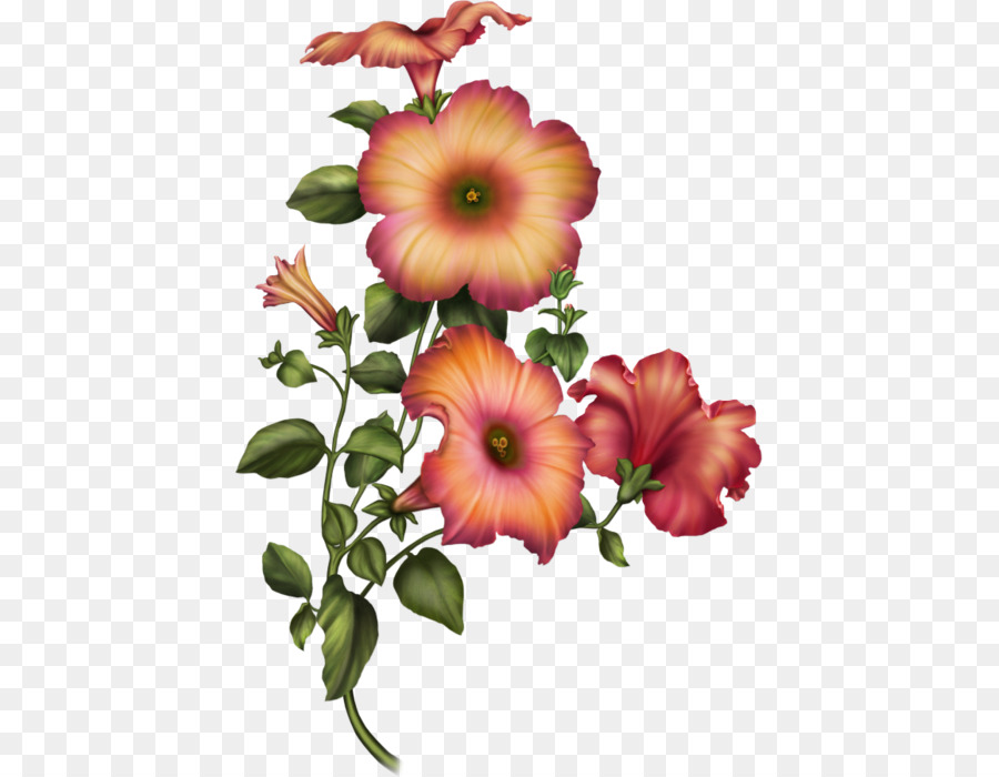 Fleur Rose，Floraison PNG