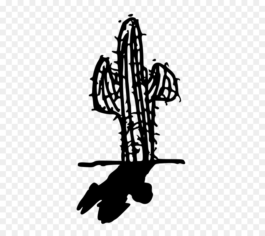 L Ombre，Cactaceae PNG