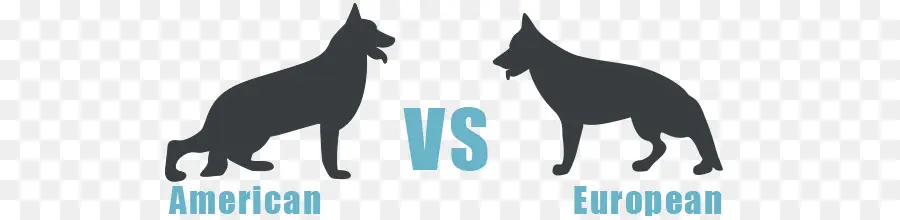 Comparaison De Chiens，Américain PNG