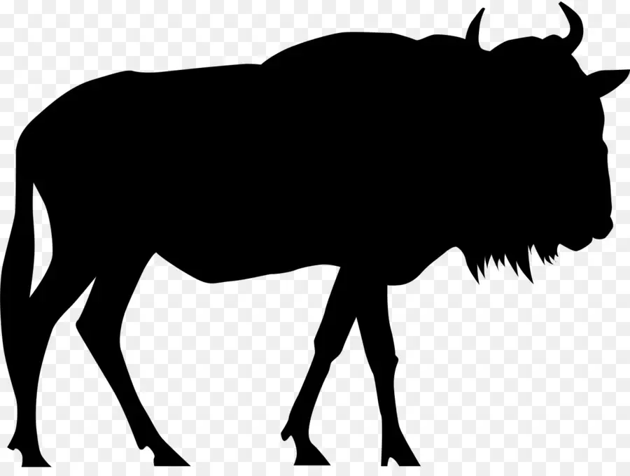 Buffle Silhouette，Bison PNG