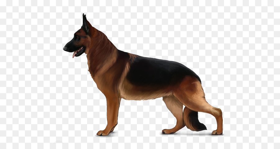 Chien，Animal De Compagnie PNG