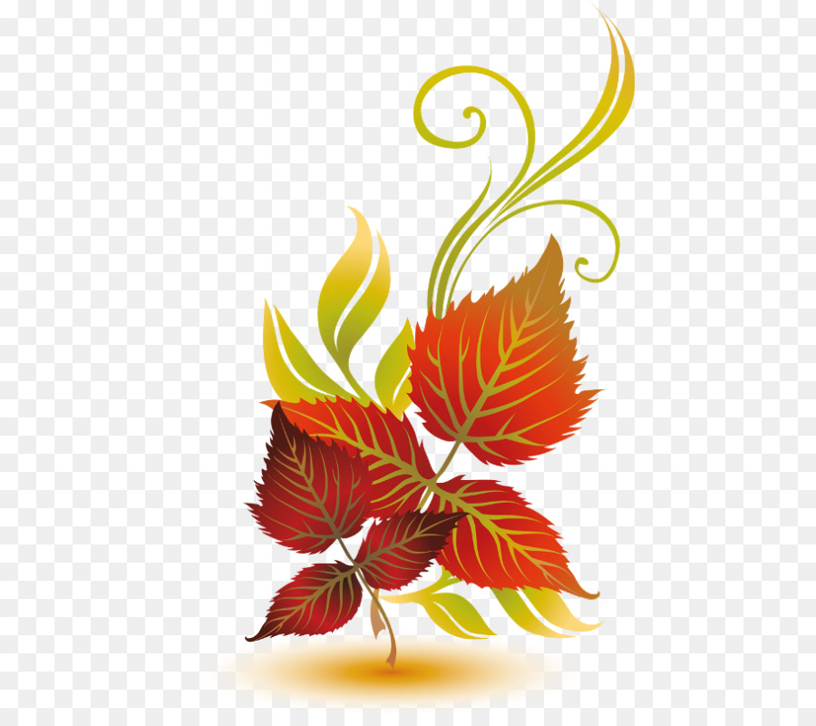 Feuilles D'automne，Feuilles PNG