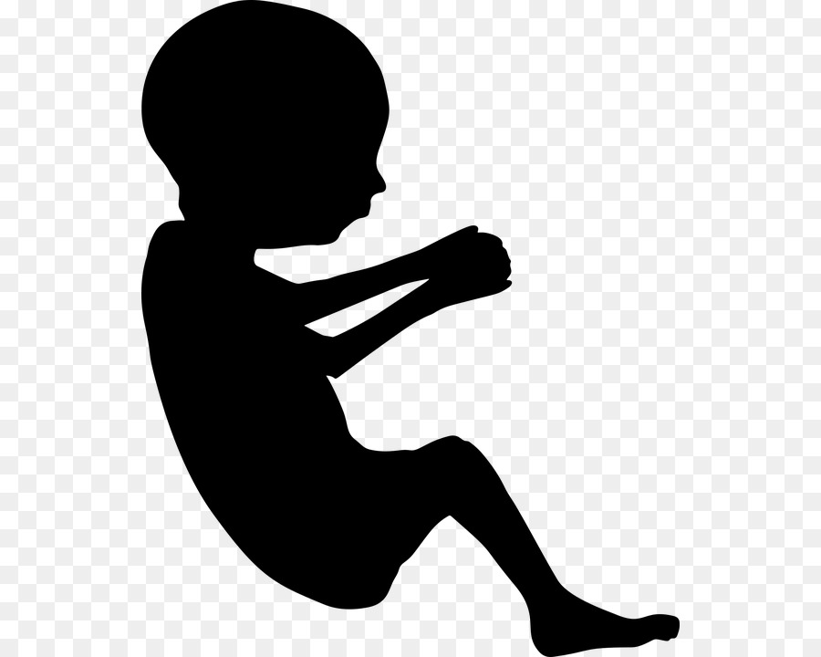 Silhouette De Fœtus，Bébé PNG