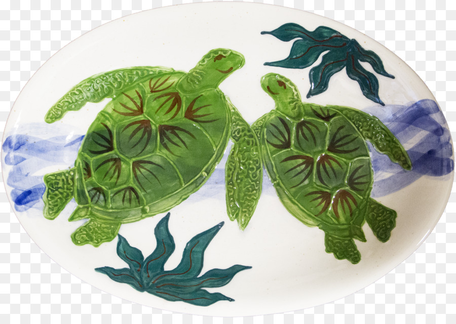 Tortue，Puces Et Trempette PNG