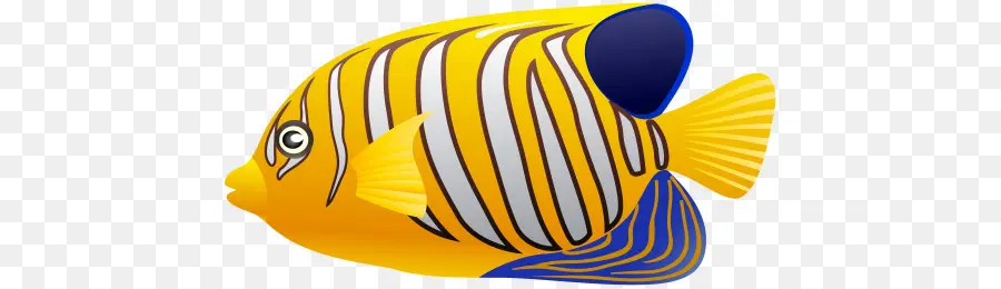 Poisson Jaune，Aquatique PNG