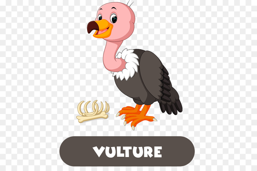 Dessin Animé，Vautour PNG