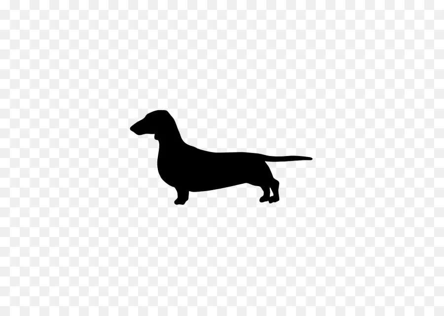 Chien，Animal De Compagnie PNG