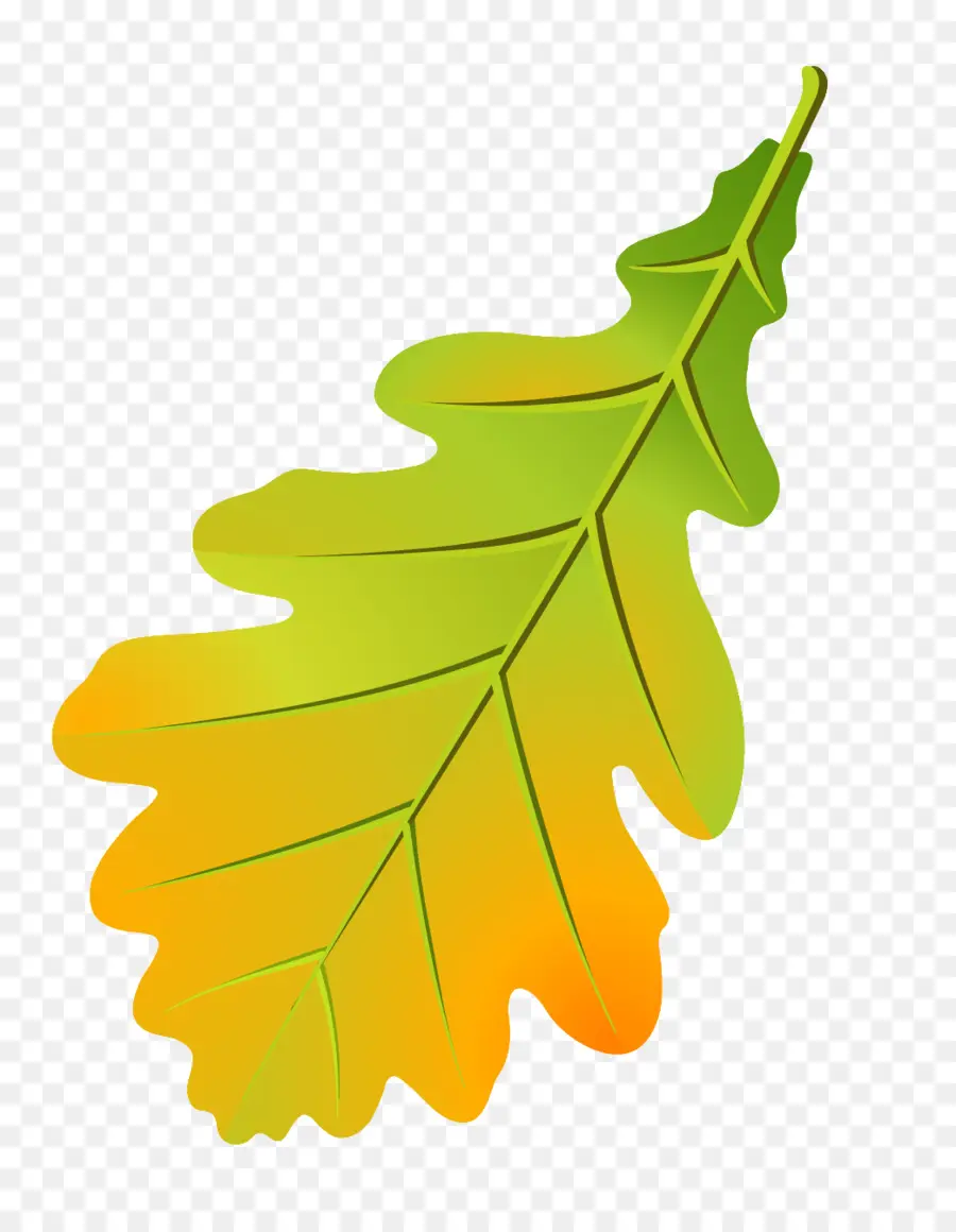 Feuille D'automne，Automne PNG