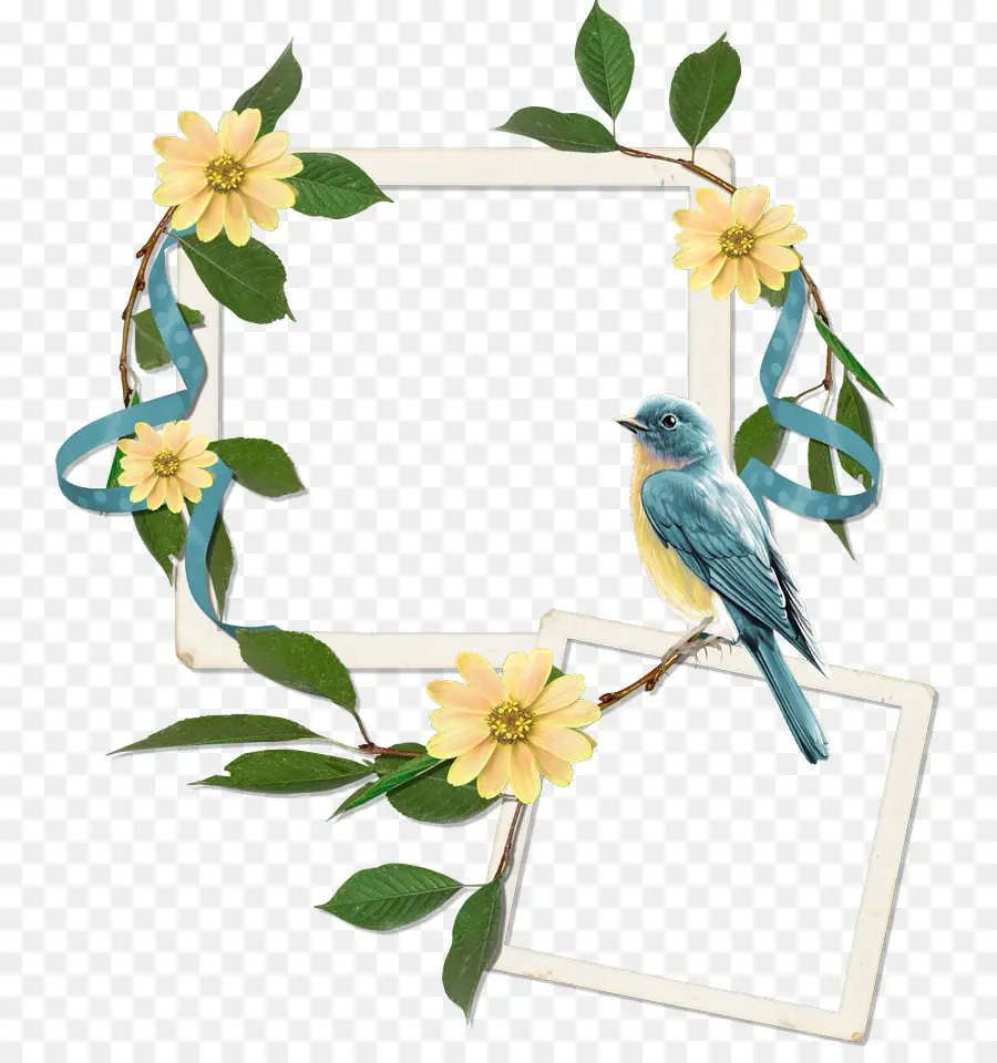 Oiseau Et Fleurs，Cadre PNG