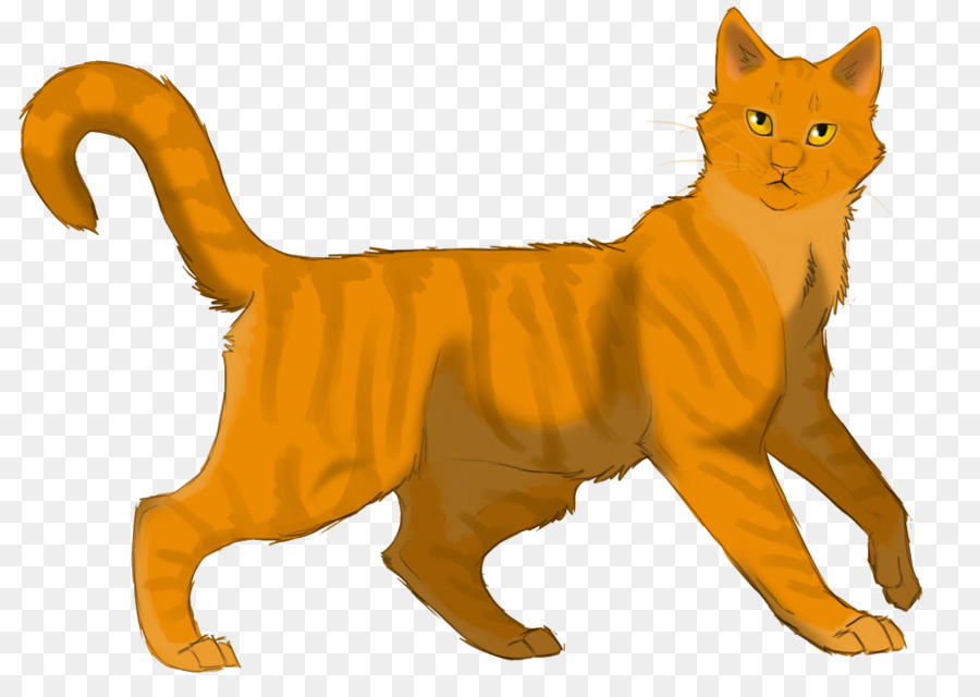 Chat，Animal De Compagnie PNG