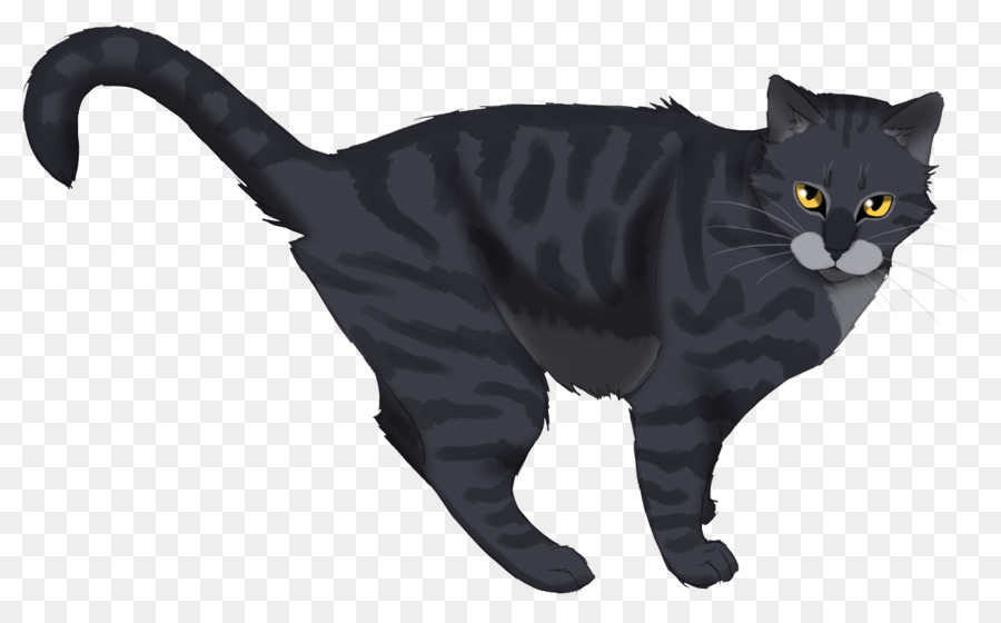 Chat Gris，Animal De Compagnie PNG