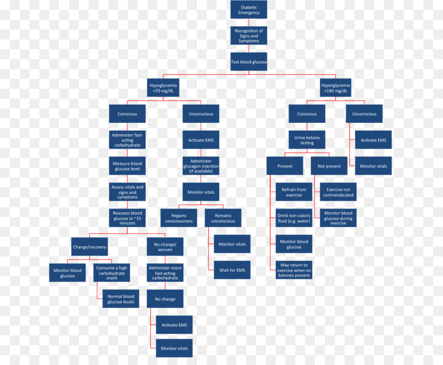 Organigramme，Bleu PNG