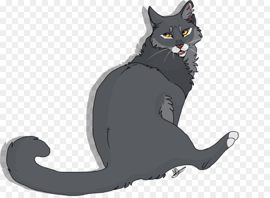 Chat Noir，Animal De Compagnie PNG