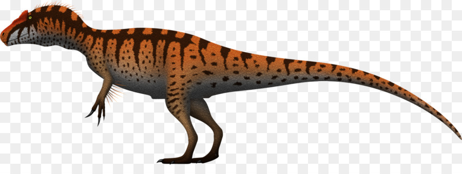 Dinosaure，Reptile PNG