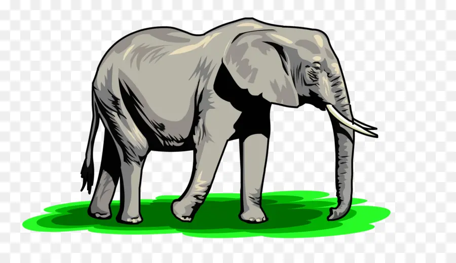 Éléphant，Gris PNG