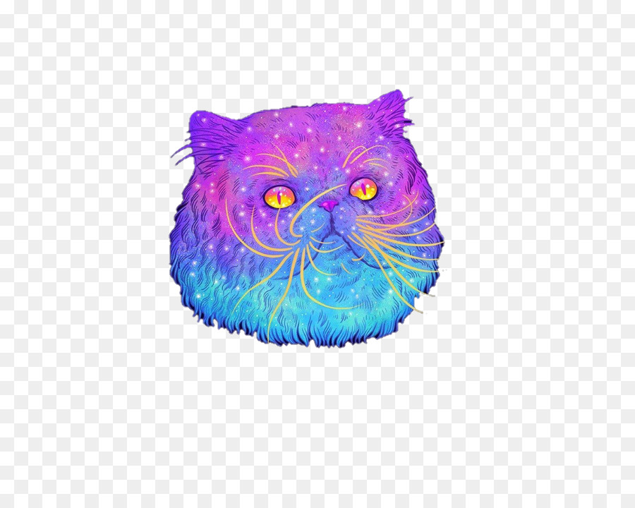 Chat Coloré，Chat PNG