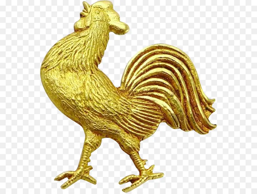 Coq D'or，Oiseau PNG