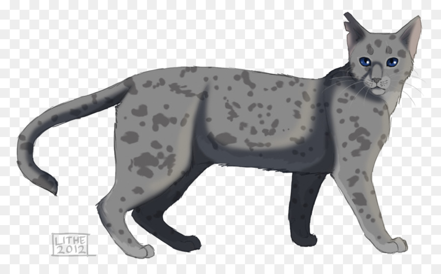 Chat，Animal De Compagnie PNG